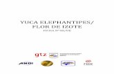YUCA ELEPHANTIPES/ FLOR DE IZOTE - resultados1.comresultados1.com/caja-ue/images/stories/fichas/honduras/hn-yuca... · De estos, el sector de plantas en macetero es el más desarrollado