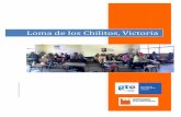 Victoria Loma de los Chilitos - portalsocial.guanajuato.gob.mx · Loma!de!losChilitos,!Victoria! Padrón!dePueblos!y!Comunidades!Indígenas!del!Estado!de!Guanajuato! 2!! Presentación!