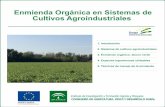 Enmienda Orgánica en Sistemas de Cultivos Agroindustriales ... · ello es la capacidad de establecer relaciones simbióticas con determinadas bacterias del género Rhizobium capaces