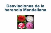 Desviaciones de la herencia Mendeliana · 5/5/2012 · DESVIACIONES DE LA HERENCIA MENDELIANA Dominancia Incompleta Codominancia Alelos Múltiples Alelos letales Pleiotropismo Interacciones