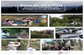 Plan de ACCIÓN - gob.mx · Observación de flora y fauna en la Reserva de la Biosfera Mariposa Monarca 6. Producción de cactáceas en vivero en la Reserva de la Biosfera Barranca