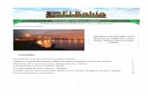 Atardecer con pescador en el Malecón de Caibarién, Cuba ... El Bohio Vol... · Mar y Limnología en Puerto Morelos, Q. Roo, se estudian los efectos de las enfermedades en corales,