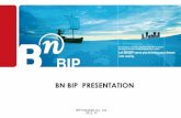 BN BIP PRESENTATION - KOTRA Brasil - Home · BIP Organization BIP BN BIP BN BIP AISCOdesign BN COSMO - Wall & outfitting installationCeiling Panel - Bath room unit & Cabin unit Assembly