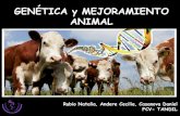 GENÉTICA y MEJORAMIENTO ANIMAL - vet.unicen.edu.ar · Herencia Mendeliana Medidas ... Caracteres de interés en producción animal . Caracteres Cualitativos Gen autosómico recesivo