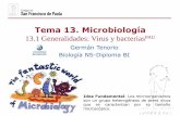 Tema 13. Microbiología - dpbiologia.weebly.comdpbiologia.weebly.com/uploads/2/1/5/5/21553524/gtp_t13.microbiolog... · Clasificación de los seres vivos: Los 5 ReinosDP/PAU En 1959