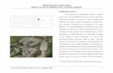 Centro Urbano de Canovanas - PR.gov - Portal Oficial del ... · ... la preparación de un Perfil Socio-Económico del centro urbano ... necesidades y características de una ... serviría