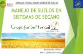 MANEJO DE SUELOS EN SISTEMAS DE SECANOtraditional-crops.com/upload/file/2016_07_14_manejo-de-suelos-en... · Existencia por debajo aprox. de los 15 cm superficiales de un horizonte