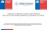 AVANCES Y PROYECCIONES DEL MANEJO DE LOS …cpps.dyndns.info/cpps-docs-web/planaccion/docs2017/octubre/salud... · Índice de calidad de aguas costeras por Ecorregiones de Chile ...