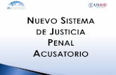 Curso - Taller de Litigación Oral Penal ”abaroli.mx/wp-content/uploads/2015/03/Introducción-al-Sistema... · Formas de conducción del imputado al proceso Denuncia o querella