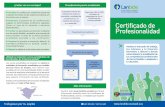 Certificado de Facilitar Profesionalidad - Lanbide · Folleto disponible en euskera, francés e inglés. El Certificado de Profesionalidad es un documento oficial que acredita la