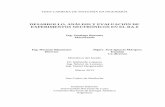 Desarrollo, Análisis y Evaluación de Experimentos ...ricabib.cab.cnea.gov.ar/342/1/Bazzana.pdf · Comparación de perfiles de flujos medidos y calculados..... 101 Apéndice IV.
