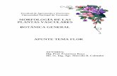 MORFOLOGÍA DE LAS PLANTAS VASCULARES BOTÁNICA …ecaths1.s3.amazonaws.com/plantas/831738045.Flor 2011.pdf · Ciclo Biológico de las Angiospermas . Definición y origen de la Flor