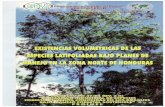 Proyecto PD - itto.int 94/pd 47-94-6 rev 3... · Proyecto PD 47/94, Rev. 3 (I) "Utilizacion Industrial de Especies Forestales Menos Conocidas en Los Bosques Bajo Manejo Forestal Sostenible"