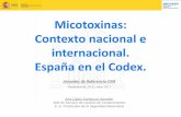Micotoxinas: Contexto nacional e internacional. España en ... · PIMENTON •Guía nacional (España) •Acordada con AACC y Sectores •Sujeta a Consulta pública - No se recibieron
