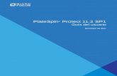 PlateSpin Protect 11.2 SP1 - netiq.com · Tabla de contenido 7 Parte IV Protección de cargas de trabajo 149 15 Protección y recuperación de cargas de trabajo 151