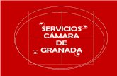 SERVICIOS CÁMARA DE GRANADA - Documento movido · Servicios Estructura del servicio de internacionalización: ... respuesta a las preguntas más frecuentes en los siguientes apartados: