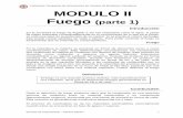 MODULO II Fuego (parte 1) - bomberosdelapampa.org · Este concepto surge de la forma de actuar de los polvos químicos secos y de ... Combustibles Líquidos: las sustancias líquidas