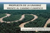 PROPUESTA DE LA UNAMAZ FRENTE AL CAMBIO CLIMÁTICO · 2016-01-22 · Se dedica el desarrollo sostenible de la Amazonia y congrega a 64 uni- ... U. P. de Huancayo Franklin Roosevelt
