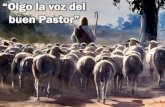 “Oigo la voz del buen Pastor” - Editorial La Paz. Sana ... la voz del buen Pastor.pdf · Oigo la voz del buen Pastor en espantosa soledad; llama al cordero, ... “Ven a Mí”,