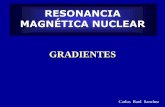 RESONANCIA MAGNÉTICA NUCLEAR - COLIByA |colibya.com/descargas/RMB-online-CLASE04.pdf · resonancia magnÉtica nuclear . el sistema de rm tiene tres pares de gradientes x ; y ; z