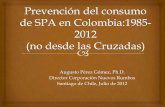 Augusto Pérez Gómez, Ph.D. Director Corporación Nuevos ... · 3.Existe una fuerte tendencia a ‘importar’ estrategias preventivas, como si se tratara de ... Experiencias para