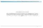 Ampliación, operación y mantenimiento de la Granja ...sinat.semarnat.gob.mx/dgiraDocs/documentos/sin/resumenes/2012/25SI... · El período de recuperación de la inversión para