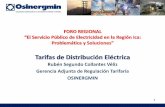 Tarifas de Distribución Eléctrica - osinerg.gob.pe · – Dentro del VAD se incluye los costos de conexión eléctrica. ... inversiones efectuadas por el Estado, las empresas ...