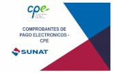 COMPROBANTES DE PAGO ELECTRONICOS - CPEccptacna.org.pe/web/archivos/cursos/cur_4678.pdf · •Proporcionar opciones de consulta de CPE para el receptor y el ... determinados documentos