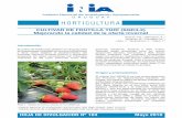 CULTIVAR DE FRUTILLA YURÍ (SGK3.2) Mejorando la calidad de ... compartidos/18429310810114234.pdf · El cultivo de frutilla bajo plástico en Uruguay está principalmente localizado