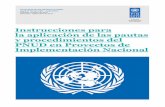 Instrucciones para la aplicación de las pautas y ... Argentina... · Aspectos generales A. Marco legal y normativo ... El presente Documento de Instrucciones responde al marco jurídico
