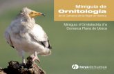 Miniguía de Ornitología - turarural.com · El halcón peregrino es cazador de aves de pequeño y mediano tamaño. Vive en paredes rocosas y tiene un área amplia de caza. Hay más