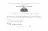 UNIVERSIDAD NACIONAL AUTÓNOMA DE NICARAGUA, …repositorio.unan.edu.ni/4558/1/96580.pdf · 4.3 Principios básicos y componentes de las Dietas Ma-Pi ... para intervenir con carácter