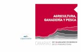 AGRICULTURA, GANADERÍA Y PESCAestudios.camaratenerife.com/upload/pdf/camara-anuario-11-12_06... · del sector primario en Canarias así como el ... Silvicultura y Pesca aportó al
