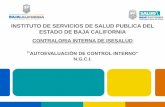 INSTITUTO DE SERVICIOS DE SALUD PUBLICA DEL … · 2015-03-09 · acceso al efectivo, inventarios, ... 3. Actividades de Control 4. ... sistema será a través del portal de Internet