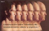 Continuación sobre ”Genética del envejecimiento celular y ... · En el mundo desarrollado los ... Enfermedad causada por el sistema inmunitario, que ataca las células del propio