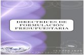 DIRECTRICES DE FORMULACIÓN PRESUPUESTARIAmedios.economiayfinanzas.gob.bo/.../Directrices_2012_ok.pdf · MINISTERIO DE ECONOMÍA Y FINANZAS PÚBLICAS VICEMINISTERIO DE PRESUPUESTO
