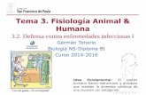 Tema 3. Fisiología Animal & Humana - DPBiología - Homedpbiologia.weebly.com/uploads/2/1/5/5/21553524/gtp_t3.fisiologia... · Hongos (Pie de atleta) ... la lisozima de lágrimas