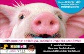 Ileitis porcina: patología, control e impacto económicoaxonveterinaria.net/app/criaysalud/50/PDFs/Ileitis_porcina_1_Ivan... · • Enteritis por circovirus (PCV2) • Síndrome
