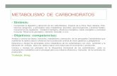 METABOLISMO DE CARBOHIDRATOS - eliasnutri .â€¢ Sin embargo prolongados ayunos el cuerpo puede adquirir