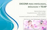 DICOM PAT“LOGOS Y TEAP - Comunidad Virtual de Anatom­a ... DICOM PARA PAT“LOGOS, BI“LOGOS Y