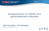Autogeneración con FNCER: Una oportunidad para Colombia gd... · - Ley 142/94 - Ley 143/94 Gas combustible - Ley 142/94 GLP - Ley 142/94 Combustibles ... Energía Nuclear Fuentes