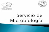 Servicio de Microbiología - sap.org.ar Interna/PDFs Jueves/J29... · La espectrometría de masa es una técnica analítica para determinar la composición elemental de una muestra