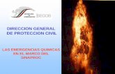 DIRECCION GENERAL DE PROTECCION CIVIL - … · las emergencias quimicas en el marco del sinaproc direccion general de proteccion civil