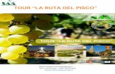 TOUR “LA RUTA DEL PISCO” - turismoamazing.cl DEL PISCO 2017 (3D Y 2N) (1).pdf · • Almuerzo en restaurant de cocinas solares • Visita a "Principales miradores de Paihuano"