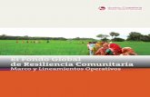 El Fondo Global de Resiliencia Comunitaria - huairou.org · 4 En los veintiún países en Asia, África y América Latina y el Caribe, el Fondo de Resiliencia Comunitaria (FRC) ha