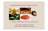 15. Diversidade seres vivos - centros.edu.xunta.escentros.edu.xunta.es/.../presentacions/15_diversidade_seres_vivos.pdf · A TAXONOM ÍA A Taxonomía é a ciencia encargada de estruturar