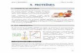1. CONCEPTE DE PROTEÏNA - blocs.xtec.catblocs.xtec.cat/marafapremiademar/files/2012/10/1.05.Proteïnes.pdf · BLOC I: BIOQUÍMICA Tema 5: Proteïnes 69 1. CONCEPTE DE PROTEÏNA Les