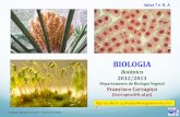 PowerPoint Presentation - BIOLOGIA Botânicaazolla.fc.ul.pt/aulas/documents/BotAulas7_8_A.pdf · Parede celular formada por peptidoglicanos ... Cianobactérias----- clorofila a, ficobilinas