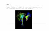 ÁREA 1: MECANISMOS ETIOPATOGÉNICOS, CELULARES Y ... · Línea: Consecuencias Fisiopatológicas de las Respuestas Moleculares y Celulares a la Hipoxia. IP: María J Calzada García.