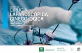 CURSO DE CIRUGÍA LAPAROSCÓPICA GINECOLÓGICA · 1 D ESCRIPCIÓN Entrenamiento en cirugía laparoscópica ginecológica, mediante el desarrollo práctico en laboratorio quirúrgico